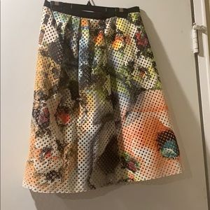 Clover canyon skirt